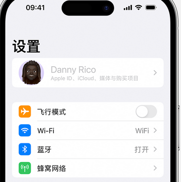 龙泉驿appleID维修服务iPhone设置中Apple ID显示为灰色无法使用 