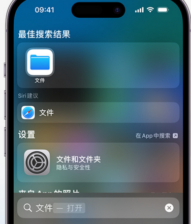 龙泉驿apple维修中心分享iPhone文件应用中存储和找到下载文件 