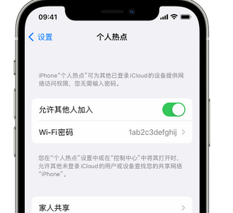 龙泉驿apple服务站点分享iPhone上个人热点丢失了怎么办