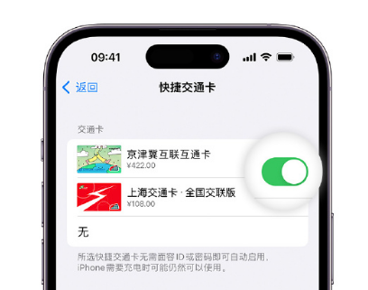 龙泉驿apple维修点分享iPhone上更换Apple Pay快捷交通卡手绘卡面 