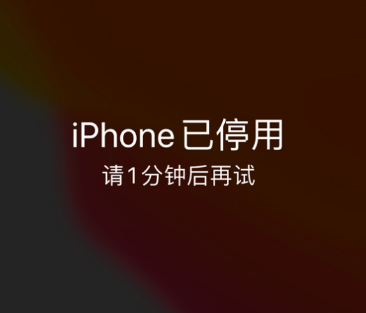 龙泉驿苹果手机维修分享:iPhone 显示“不可用”或“已停用”怎么办？还能保留数据吗？ 