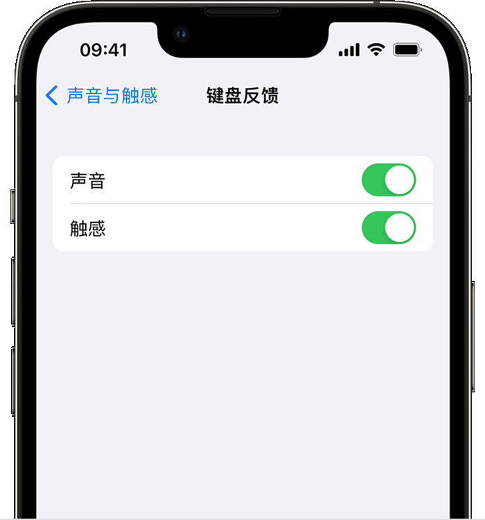 龙泉驿苹果14维修店分享如何在 iPhone 14 机型中使用触感键盘 