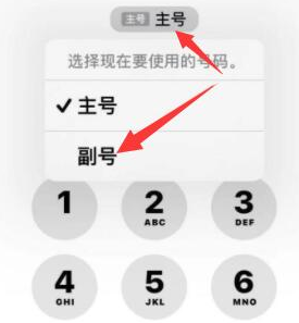 龙泉驿苹果14维修店分享iPhone 14 Pro Max使用副卡打电话的方法 