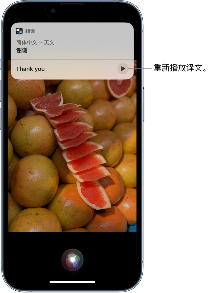 龙泉驿苹果14维修分享 iPhone 14 机型中使用 Siri：了解 Siri 能帮你做什么 