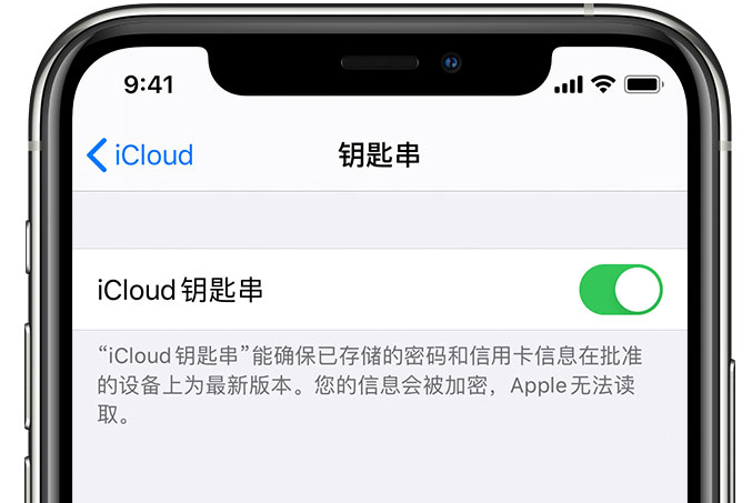 龙泉驿苹果手机维修分享在 iPhone 上开启 iCloud 钥匙串之后会储存哪些信息 