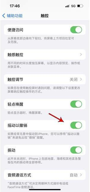 龙泉驿苹果手机维修分享iPhone手机如何设置摇一摇删除文字 