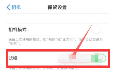 龙泉驿苹果13维修分享iPhone13拍照有绿点是怎么回事 