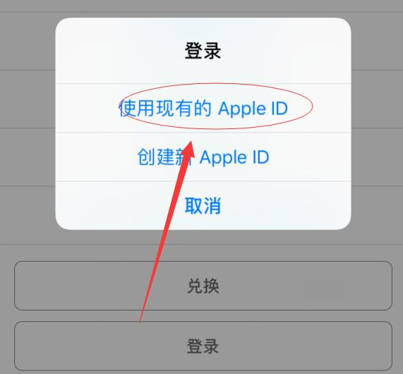 龙泉驿苹果手机维修分享两台iPhone设备可以同时登录一个Apple ID吗 