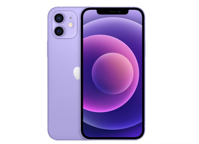 龙泉驿苹果手机维修分享现阶段要不要入手紫色版iPhone12 