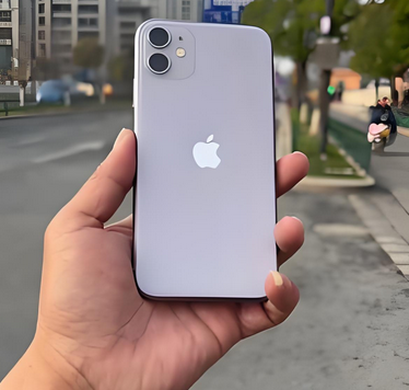 龙泉驿苹果11系统维修分享iPhone11手机系统崩溃无法开机如何解决