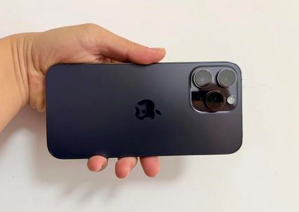 龙泉驿苹果维修点分享iPhone 14 Pro Max黑屏少见故障盘点 