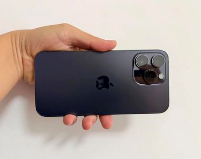龙泉驿苹果维修点分享iPhone 14 Pro Max发烫多重诱因剖析 